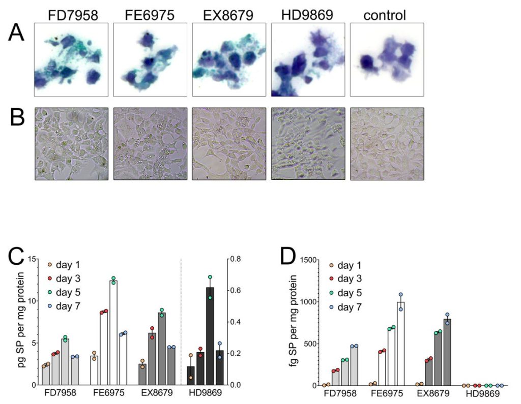 48276ea7-5c61-4a95-84cf-adc10d981a8d_1166x905