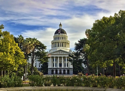 6BEC532C-B285-49B5-AA11-C3F237C4CE84_4_5005_c