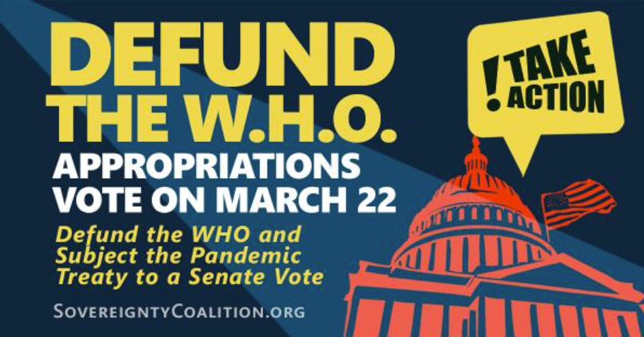 Screenshot 2024-03-22 125509