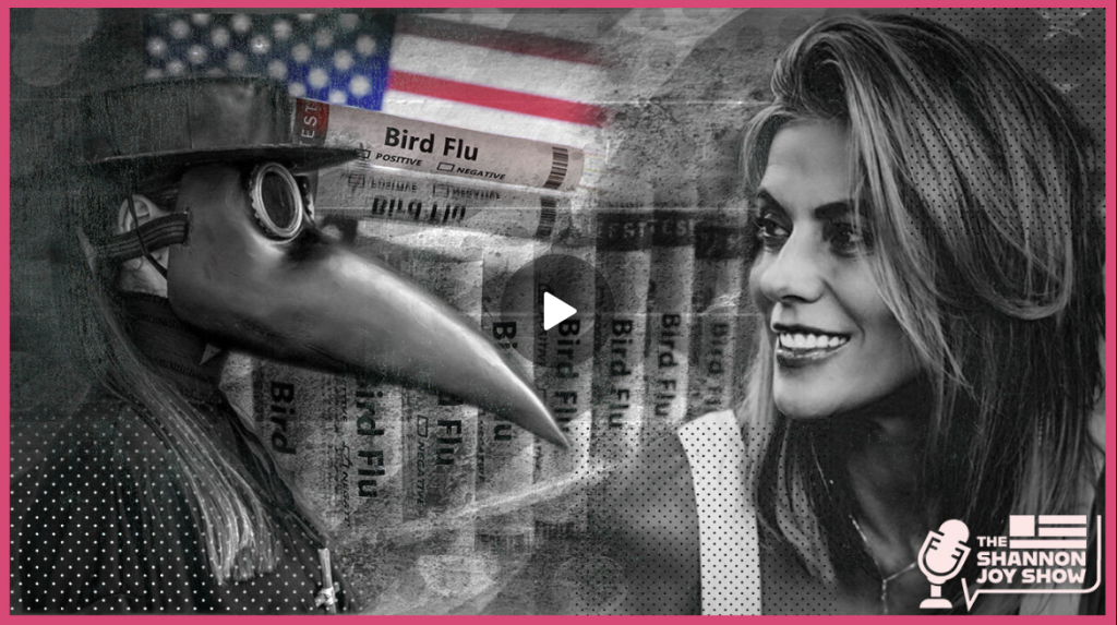 Screenshot 2024-07-15 112925