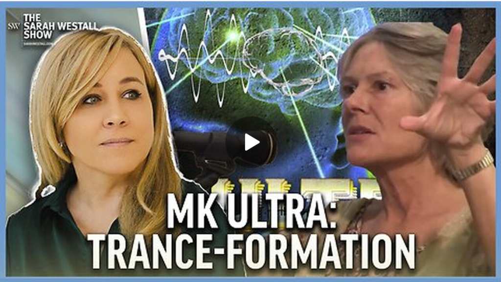 Screenshot 2024-08-14 154036