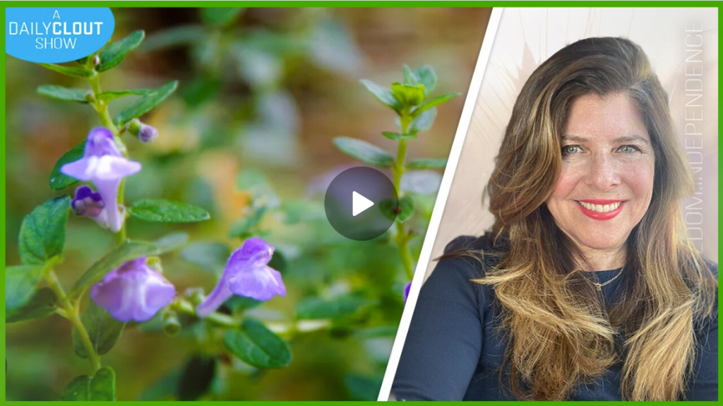 Screenshot 2024-09-29 163032