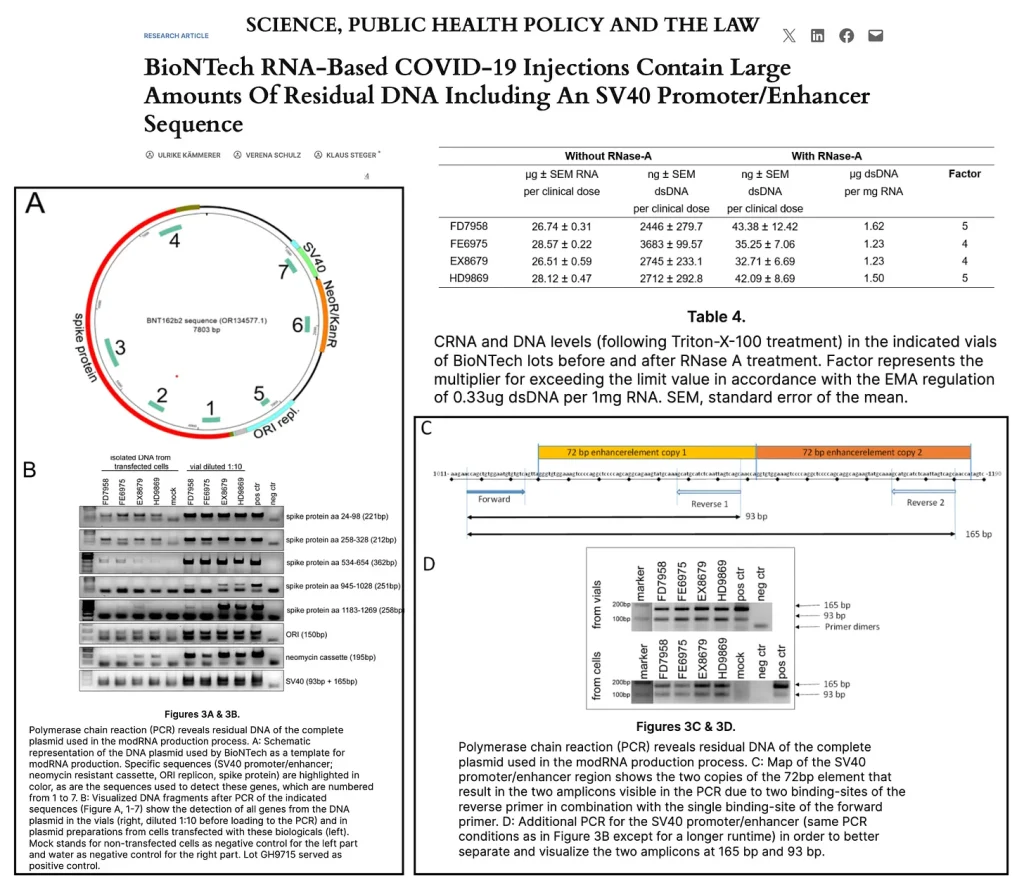a7c71cce-28d0-4bc6-b7bc-a51b46e3cd13_1858x1602