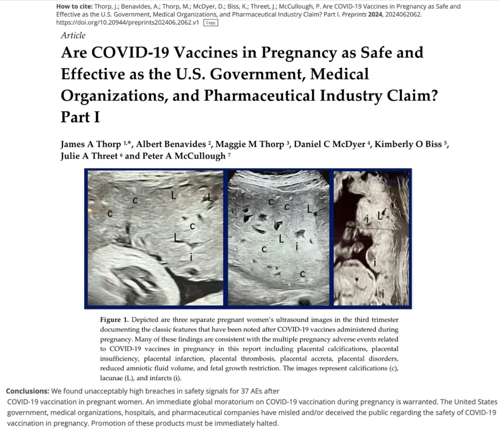 f13d451f-15e8-44de-ad72-babf38956bda_1738x1502