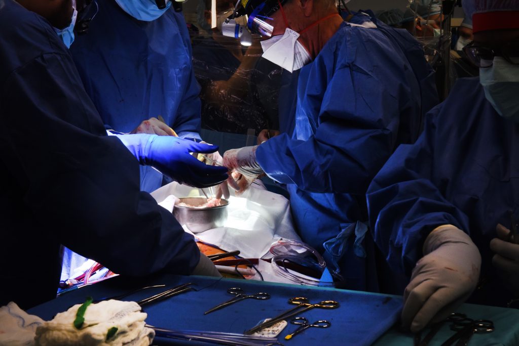 The sick science of playing god with animal-to-human organ transplants